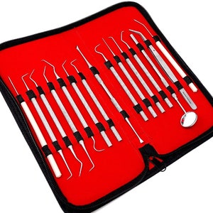 Dental Hygenist Gift Set for Dentistry Graduates 15-Piece Stainless Steel Micro Precision Probe Set including Tweezer and Mirror