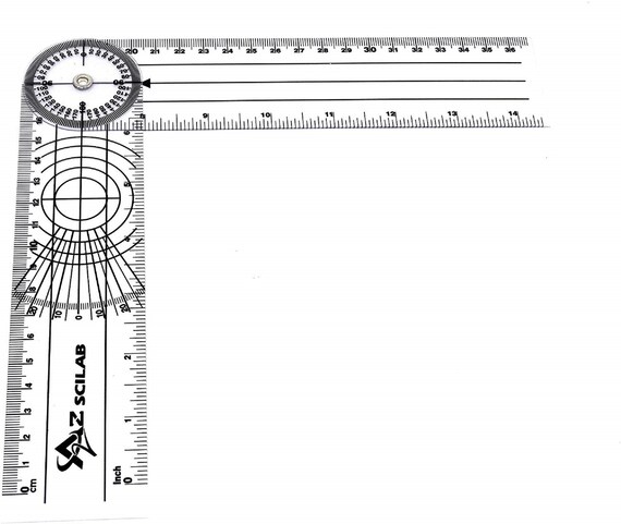 8 Spinal Ruler Physical Therapy Tool for Occupational Physical