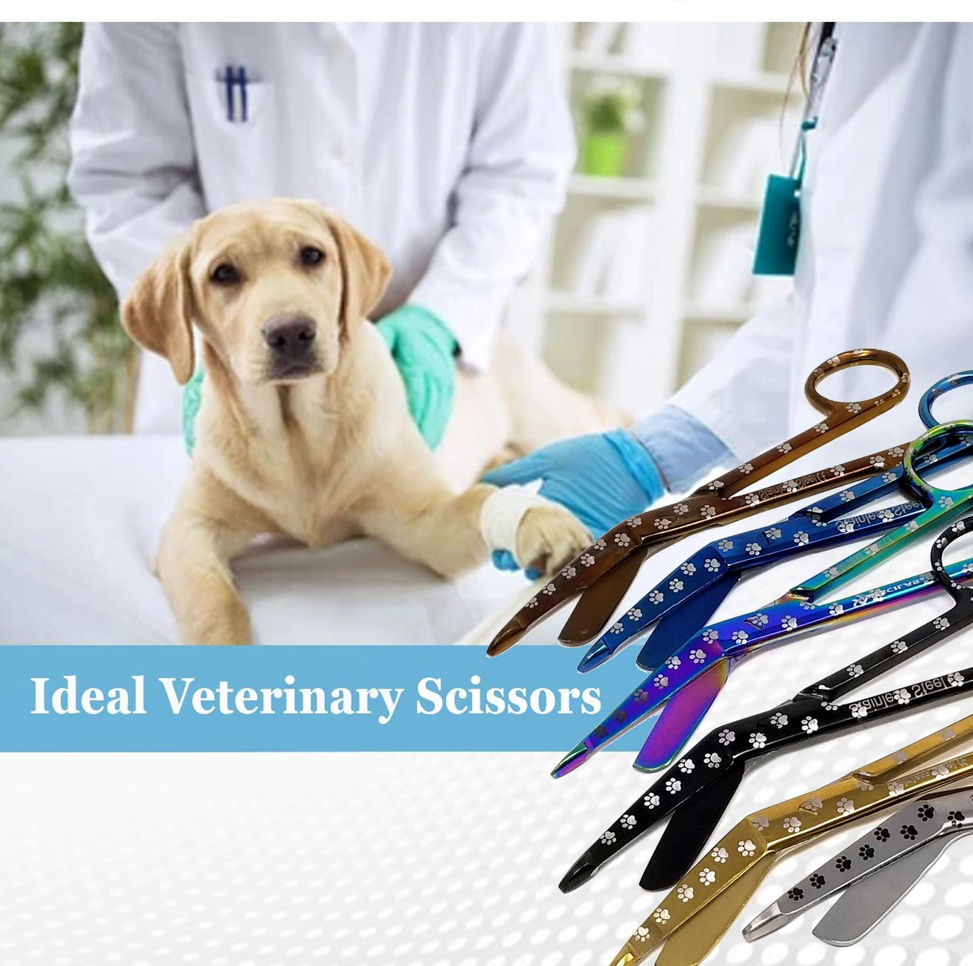 Vet Tech Bulk Gift Pack of Laser Engraved With Pet Paws 6-pcs Stainless ...
