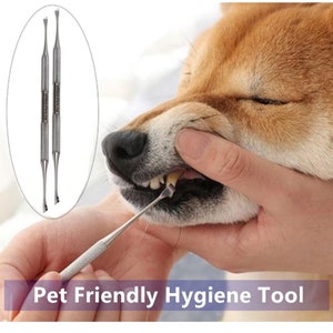 Raspador de tártaro dental, raspador, ferramenta de higiene oral, sonda dupla, explorador, aço inoxidável, dentes, exame de gengiva para cães e gatos, também 2 peças