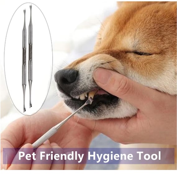 Scaler Kaplan A Gru Raschietto Dentale In Acciaio Inox Per Rimozione Tartaro - Curette Tipo Kaplan Per Igiene Orale Scaler Tartaro Kaplan - Foto 8