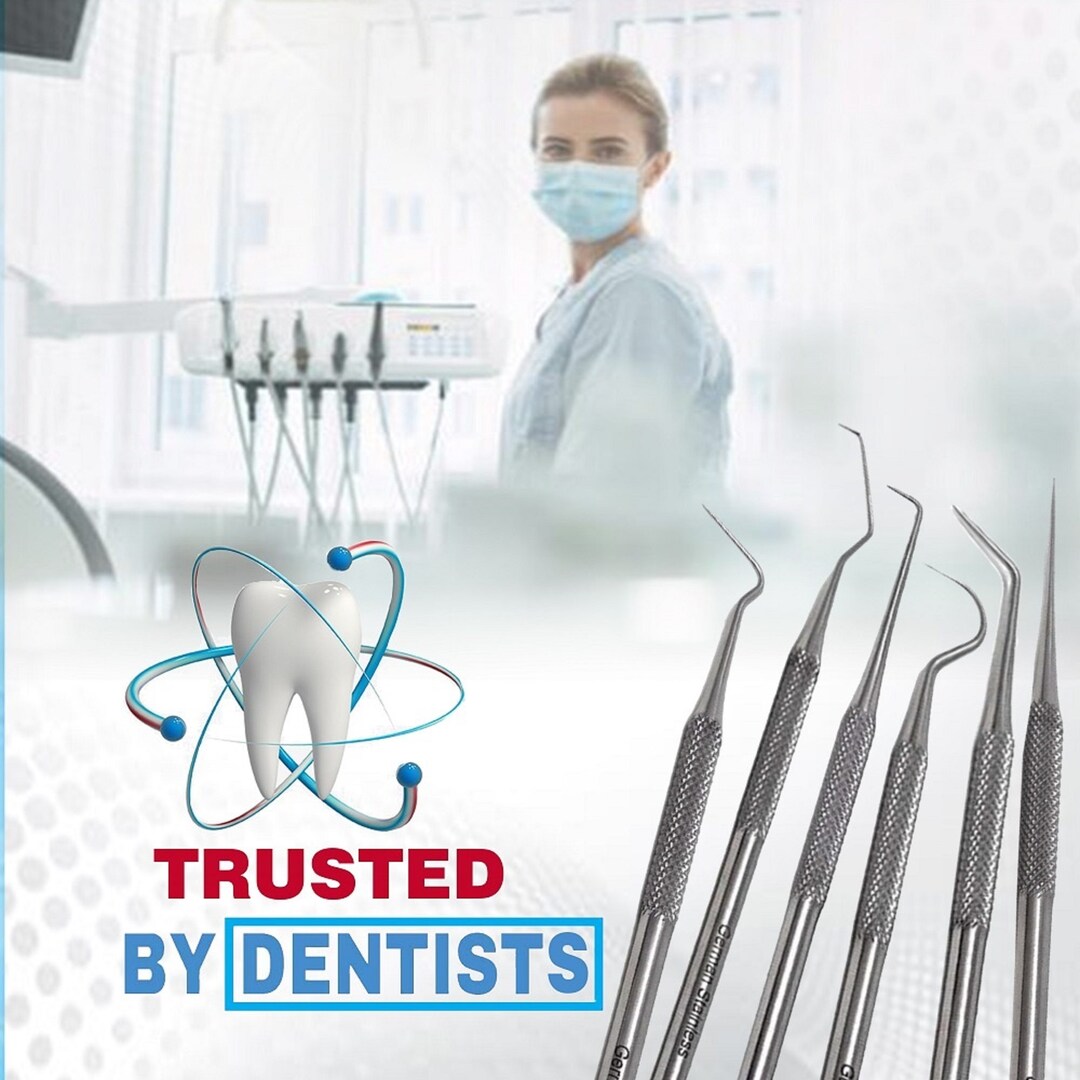 Stainless Steel Dental Cleaning Tools Pack of 6 Assorted Micro Probe