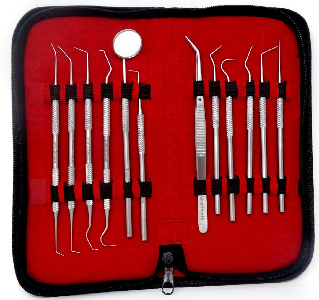 Dental Lab Instruments Set of 12 Different Shapes Single and Double