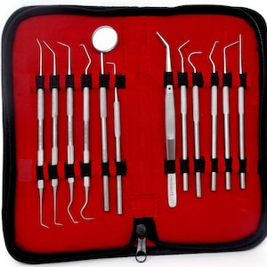 Dental Lab Instruments Set of 12 Different Shapes Single and Double Ended Micro Scaler Set Probes Kit with Ergonomic Non Slip Handles