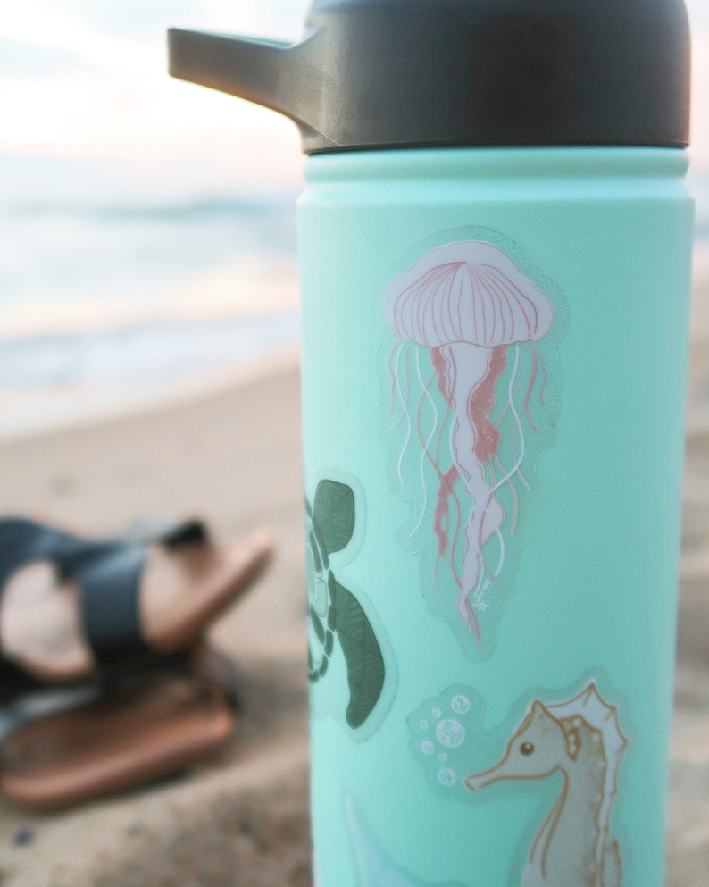 Puede incluir: Una botella de agua reutilizable de color azul claro con tapa negra y asa. La botella tiene varias pegatinas, entre ellas una medusa rosa, una tortuga marina y un caballito de mar.