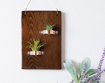 Hanging Wood Air Plant Plaque