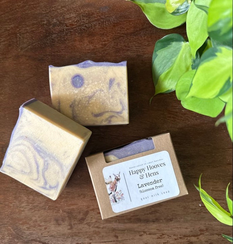 Goat Milk Soap Lavender Blossom Free organic soap floral natural soap handcrafted handmade gift ideas moisturizing soap image 1