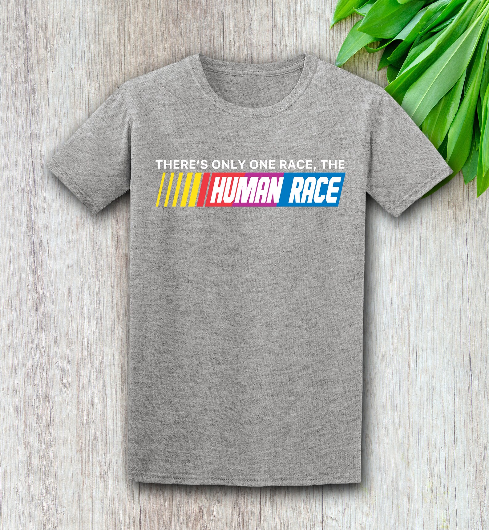 There's Only One Race The Human Race What About Nascar