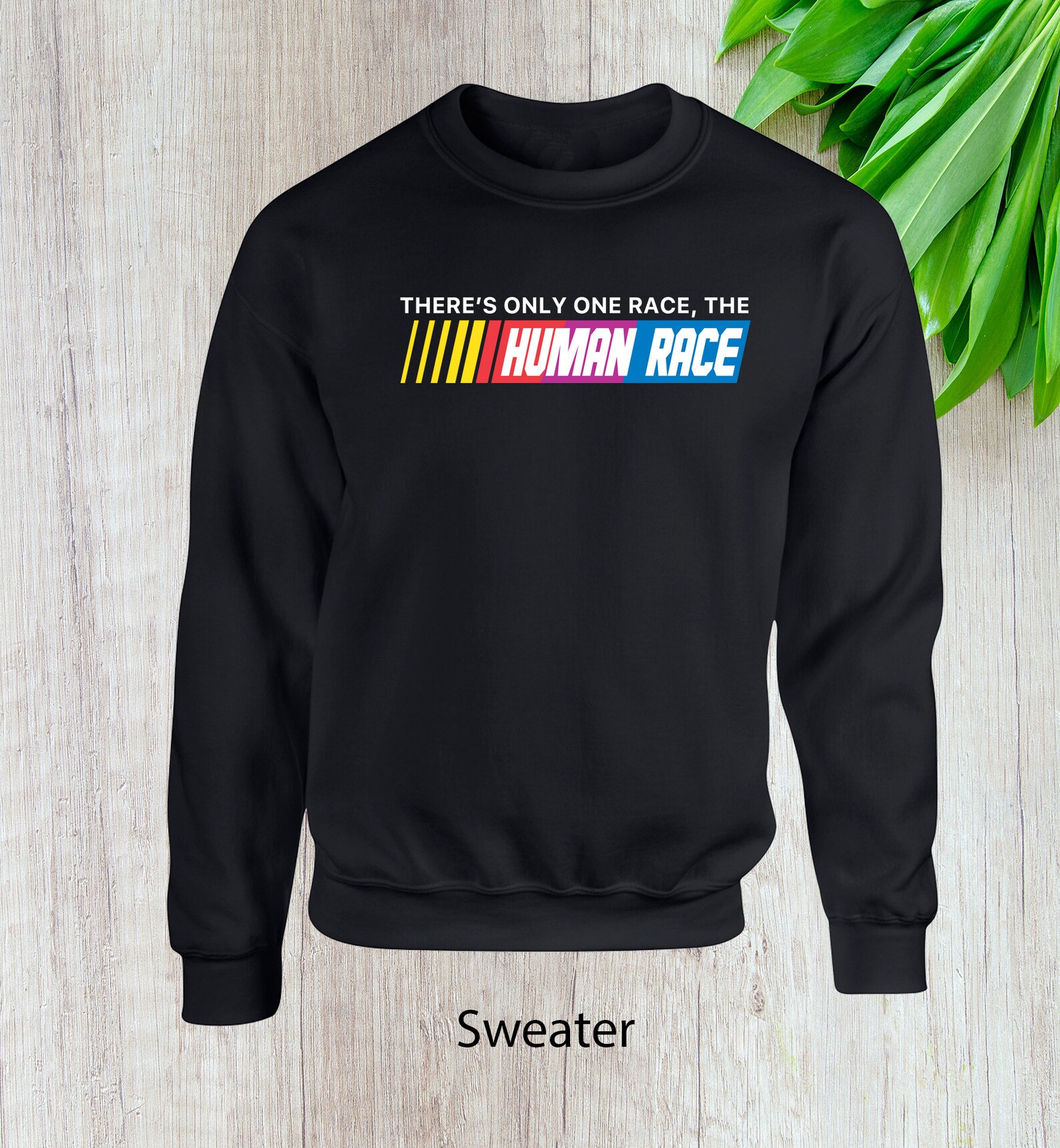 There's Only One Race The Human Race What About Nascar
