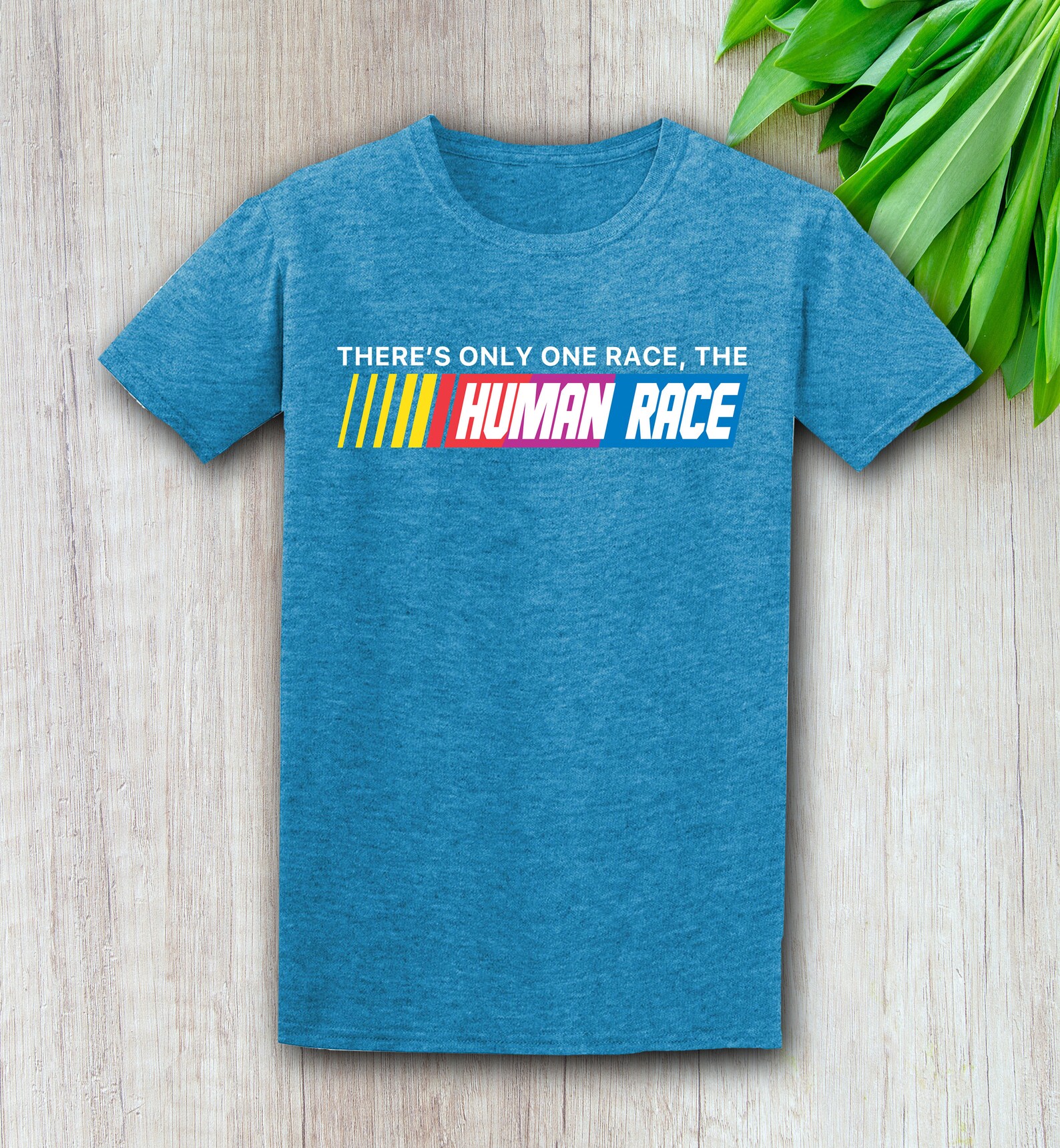 There's Only One Race The Human Race What About Nascar