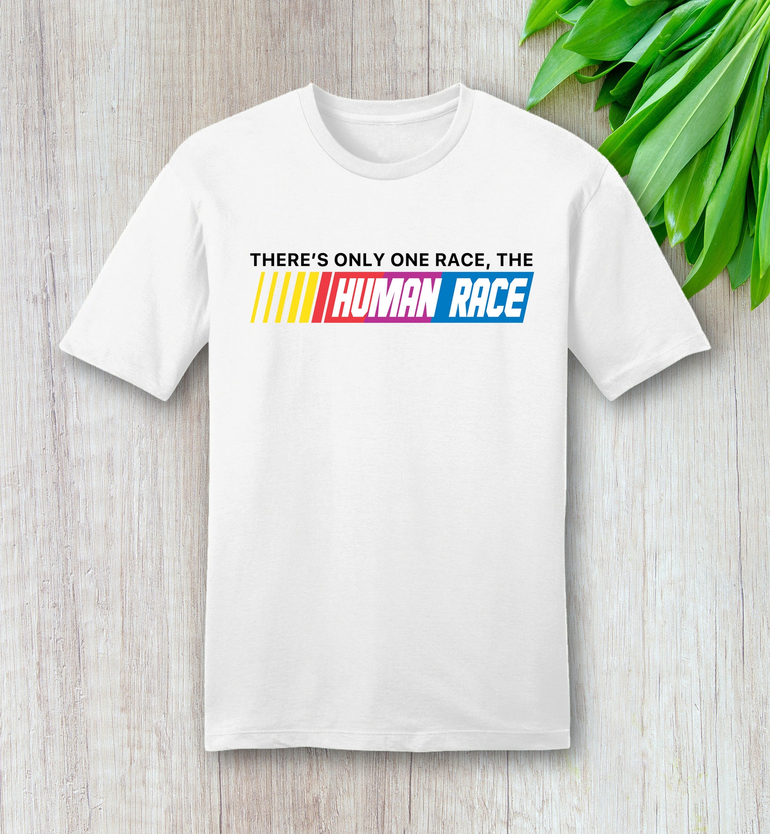 There's Only One Race The Human Race What About Nascar