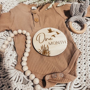 May include: A brown baby onesie with a wooden milestone sign that says "One Month" with a design of birds and grass. The sign is round and has a white background.