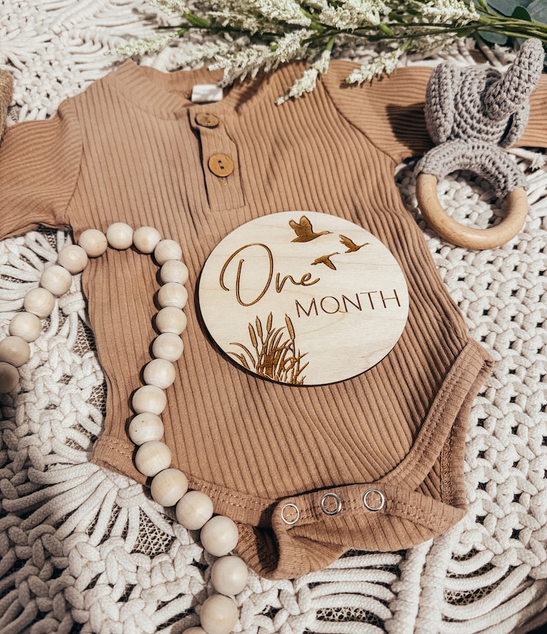 May include: A brown baby onesie with a wooden milestone sign that says "One Month" with a design of birds and grass. The sign is round and has a white background.
