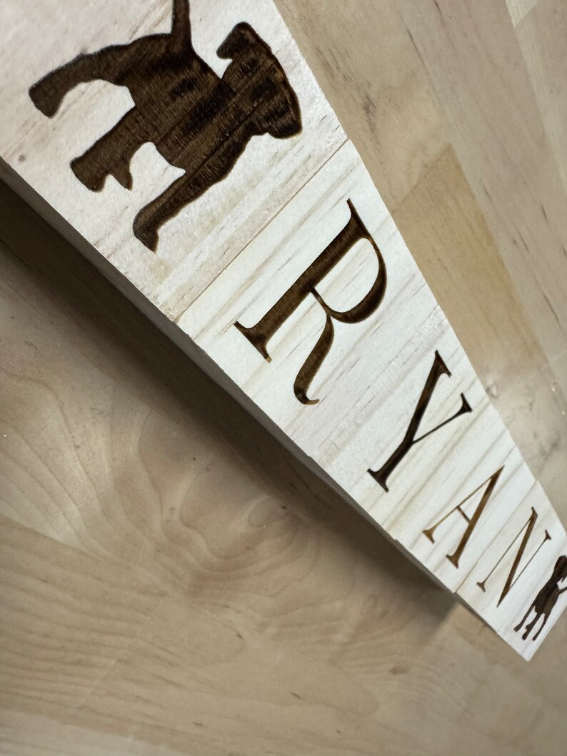 Puede incluir: Un letrero de madera con el nombre "Ryan" grabado en una fuente marr&oacute;n oscura. El letrero est&aacute; decorado con una silueta de un perro en la esquina superior izquierda.