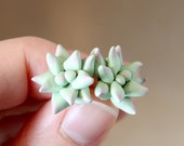 Succulent Earrings Miniature Plant Earrings Gift for Her Polymer Clay Earrings