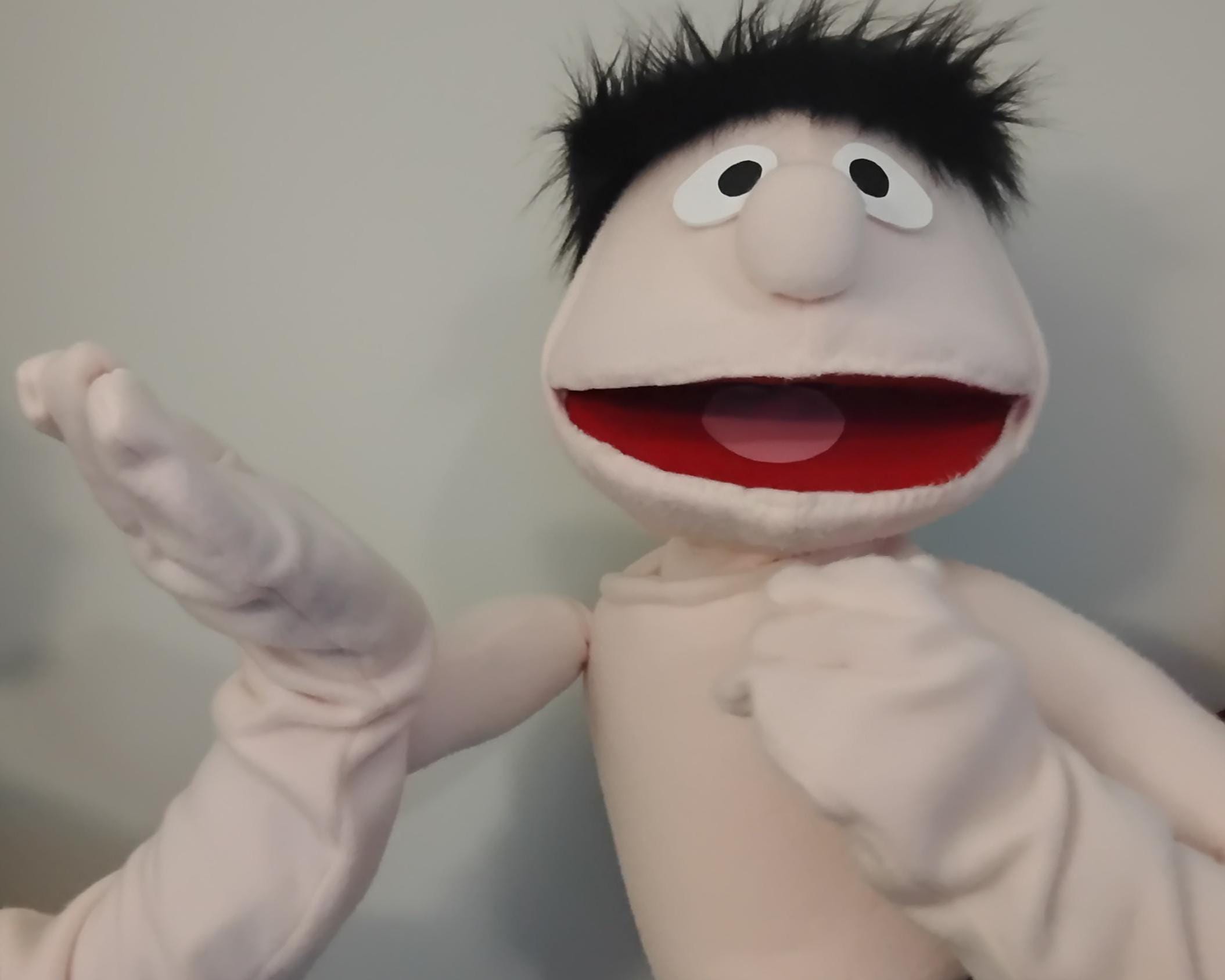 Custom Muppet Live-hand Puppet - Etsy