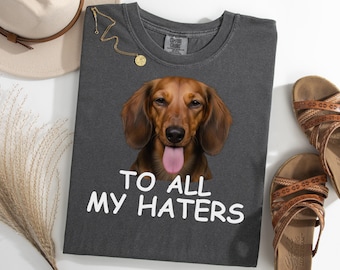 Camiseta de Dachshund para todos mis detractores, divertida camiseta con meme de Doxie, regalo para amantes de los perros