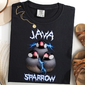May include: Black t-shirt featuring a graphic of three Java Sparrows with blue lightning bolts and the text "JAVA SPARROW". A gold necklace and brown sandals are also visible.