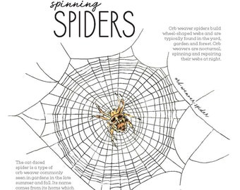 Spinning Spiders Nature Journaling Mini Pack - Homeschool, Charlotte Mason, Nature Study