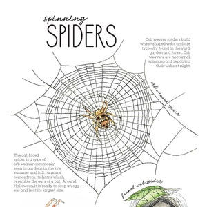 Spinning Spiders Nature Journaling Mini Pack - Homeschool, Charlotte Mason, Nature Study