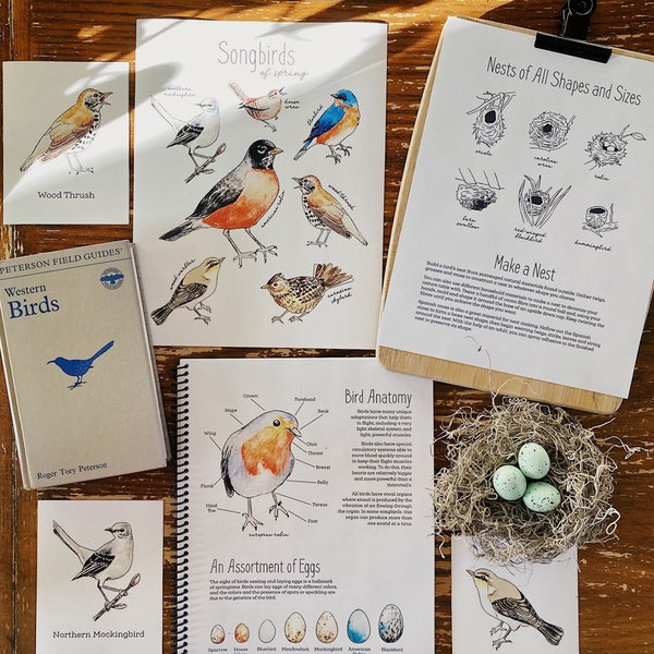 Spring Songbirds Mini Nature Pack - Nesting Birds Nature Study Charlotte Mason Homeschool