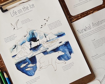 Polar Ice Mini Unit - Charlotte Mason Nature Study Homeschool Printable