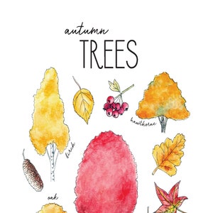 Mini pack de journalisation de la nature des arbres d'automne - Charlotte Mason, Homeschool, Nature Study