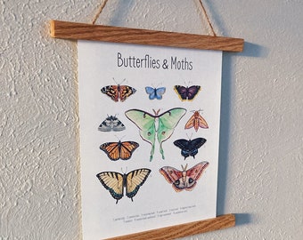 Butterflies & Moths Nature Print/Poster (Digital)