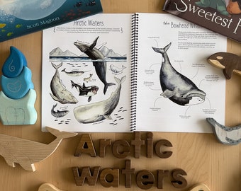 Arctic Ocean Mini Unit - Charlotte Mason Nature Study Homeschool Printable