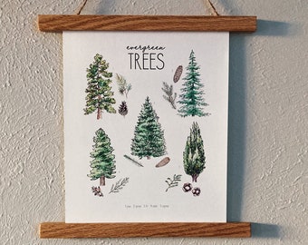 Evergreen Trees Art Print/Poster (Digital)
