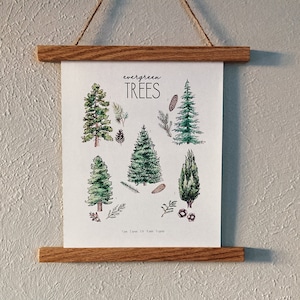 Evergreen Trees Art Print/Poster (Digital)