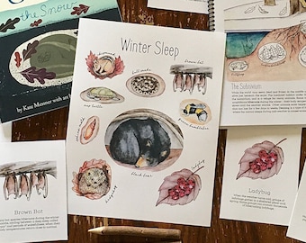 Hibernation Mini Pack - Homeschool Printable Nature Study Charlotte Mason