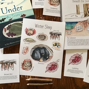 Hibernation Mini Pack - Homeschool Printable Nature Study Charlotte Mason