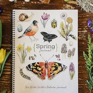 Giornale AGGIORNATO DI PRIMAVERA - Studio della natura stampabile per la scuola domestica Charlotte Mason