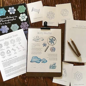 Winter Weather Mini Nature Study Pack - Homeschool imprimable Charlotte Mason