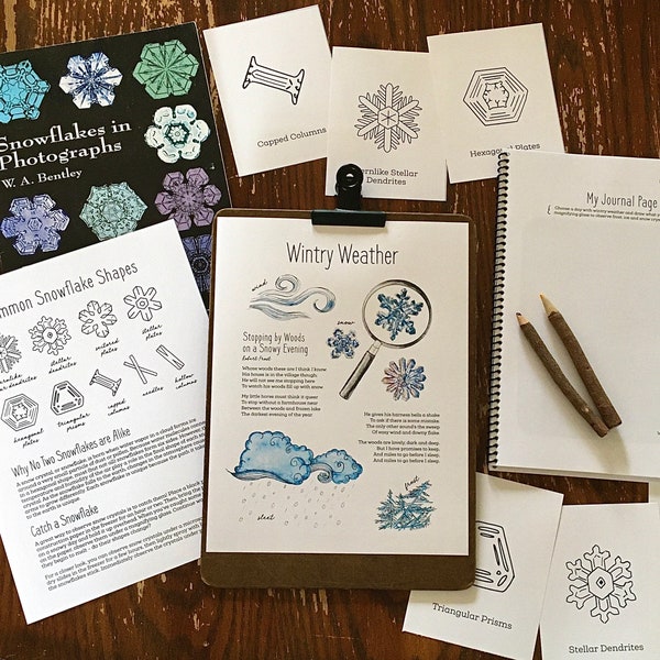 Winter Weather Mini Nature Study Pack - Homeschool Printable Charlotte Mason