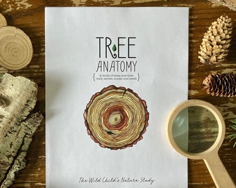 Tree Anatomy Nature Study - Charlotte Mason Unit Study