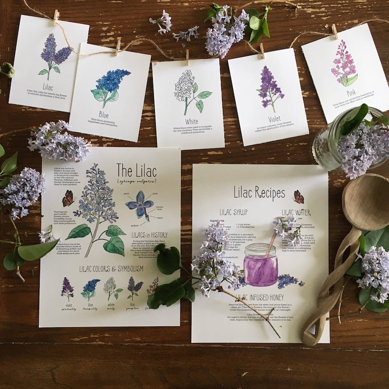Spring Learning Bundle - Unit Study, Nature Study, Charlotte Mason - Etsy