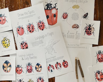 Ladybugs Unit - Charlotte Mason Homeschool Nature Study