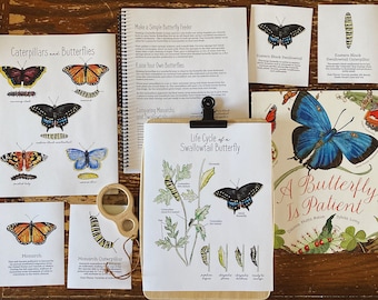 Caterpillars and Butterflies Mini Nature Pack - Nature Study  Homeschool Printable Charlotte Mason