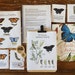 see more listings in the Mini Nature Packs section