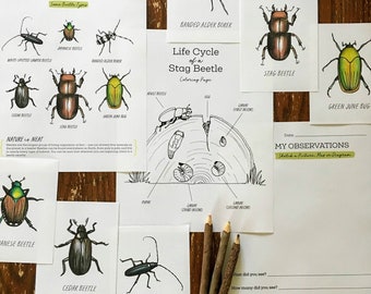 Forest Beetles Nature Journaling Pack - Homeschool Printable Nature Study Charlotte Mason