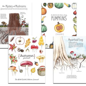 May include: Four illustrated nature study guides for children. The guides feature colorful illustrations of pumpkins, mushrooms, and autumn leaves. The text includes the titles "The Wild Child's Nature Study PUMPKINS", "The Mystery of Mushrooms", "Mycorrhizal Fungi hidden partners", and "{Autumn} journal The Wild Child's Nature Journal".