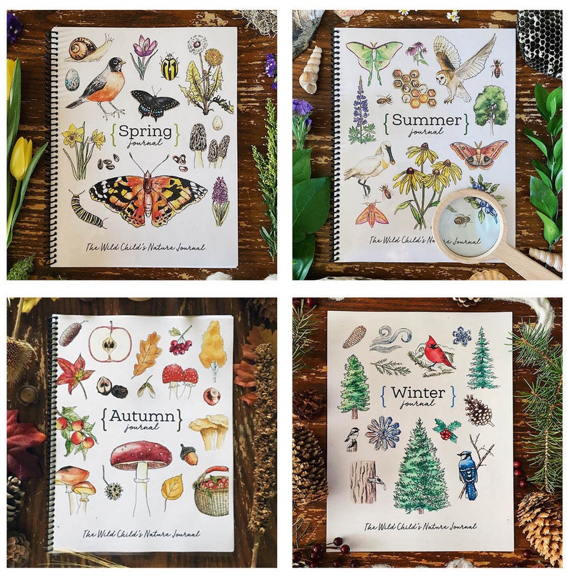 The Seasons A Year of Nature Journaling Charlotte Mason Homeschool Nature Printable image 1