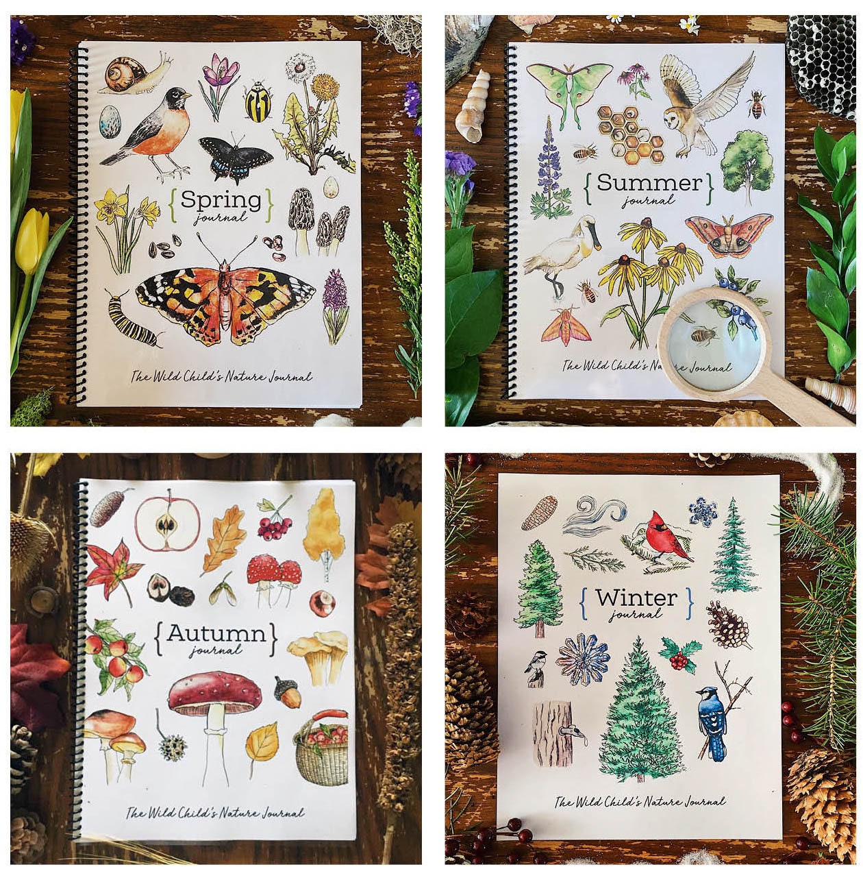 The Seasons A Year of Nature Journaling Charlotte Mason - Etsy