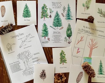 Winter Trees Mini Nature Study Pack - Charlotte Mason Homeschool Printable Unit Study