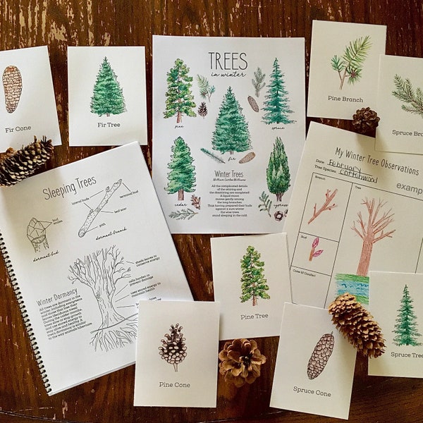 Winter Trees Mini Nature Study Pack - Charlotte Mason Homeschool Printable Unit Study