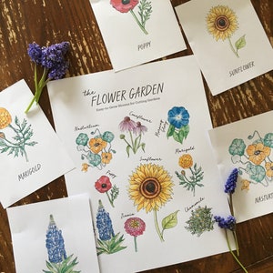 May include: A printable chart with illustrations of different flowers, including a sunflower, poppy, marigold, lupine, and zinnia. The chart is titled "The Flower Garden: Easy-to-Grow Blooms for Cutting Gardens".