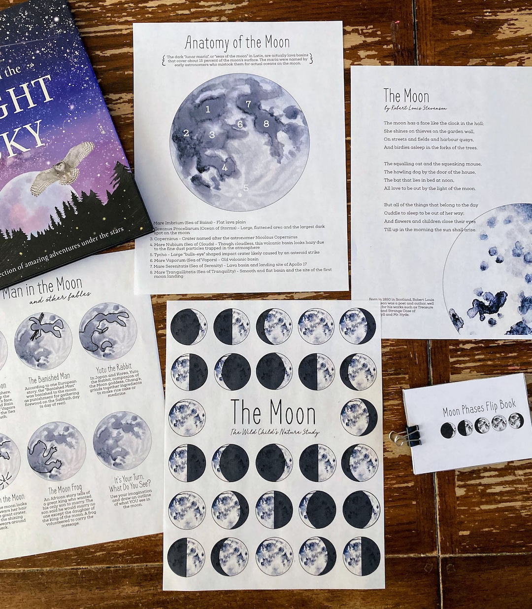 NEW! the Moon Nature Study - Etsy