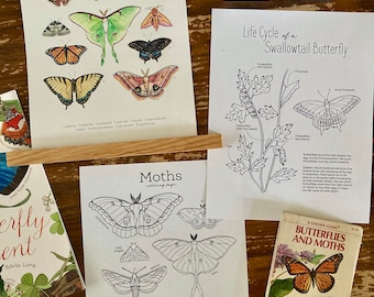 Butterflies + Moths Mini Bundle